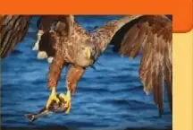 Figura 4 de Ciencias Naturales 6° · Egb 6 Ciencias Naturales 2025 · 2025