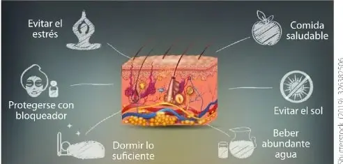 Infografía con consejos para cuidar la piel: evitar el estrés, protegerse con bloqueador, dormir lo suficiente, consumir comida saludable, evitar el sol y beber abundante agua.