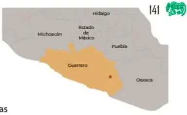 Fotografía frontal de la Máscara de Malinaltepec con mosaicos de turquesa y amazonita, cejas y nariguera de concha, ojos con incrustaciones de hematita y collar de cuentas.