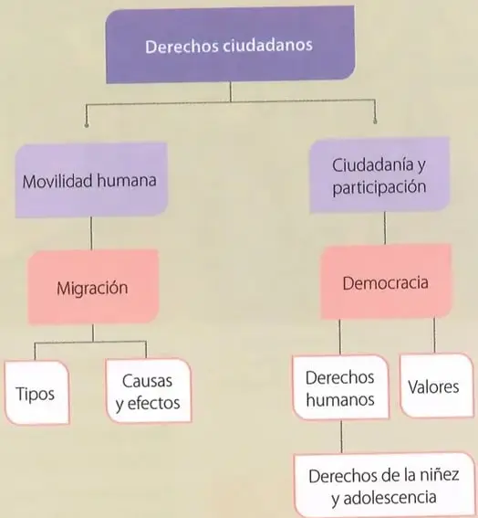 Figura 2 de Estudios Sociales 8° · 2025