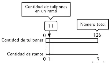 Esquema de barras con 14 tulipanes por ramo, 9 ramos y total 126 tulipanes.