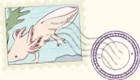 Ilustración de un ave blanca volando sobre el mar dentro de un marco tipo estampilla postal con sello circular morado.