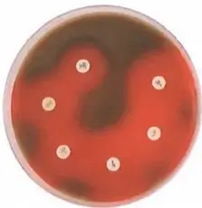 Figura 3 de Ciencias Naturales 9° · 2025
