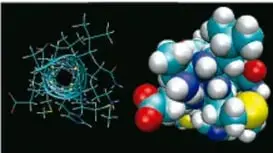 Modelo molecular de una proteína: representación de barra (izquierda) y modelo de esferas rellenas (derecha) con átomos de distintos colores, mostrando su gran peso molecular.