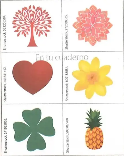 Seis imágenes de objetos naturales y decorativos: árbol, flor, corazón, flor amarilla, trébol y piña.