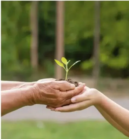 Manos de un adulto y un niño sosteniendo juntas una planta pequeña con tierra, símbolo de cuidado ambiental y esperanza.