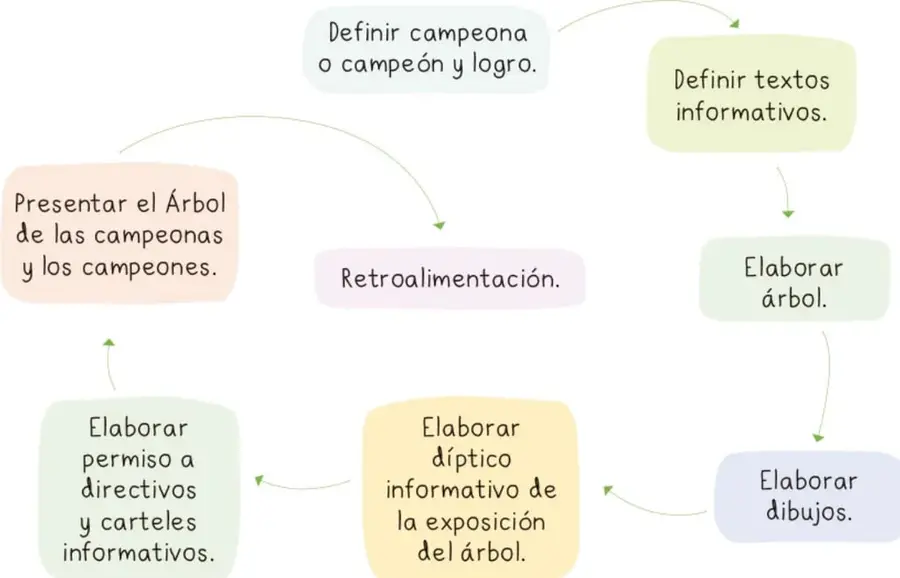 Organizador gráfico circular con 8 recuadros de colores que enlzan con flechas los pasos de la planificación: definir campeón y logro, definir textos, elaborar árbol, elaborar dibujos, elaborar díptico, elaborar permisos y carteles, presentar el árbol y retroalimentación.