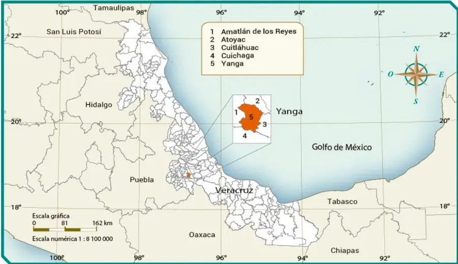 Mapa del municipio de Yanga en Veracruz, con coordenadas, escala gráfica y numérica, rosa de los vientos y municipios vecinos numerados.