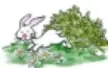 Dibujo de un conejo junto a plantas.