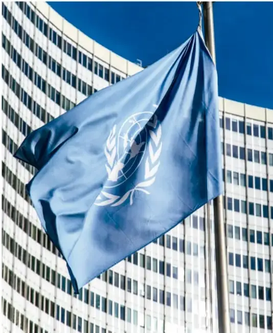 Fotografía de la bandera de las Naciones Unidas ondeando frente a un edificio de oficinas, símbolo de los organismos internacionales.