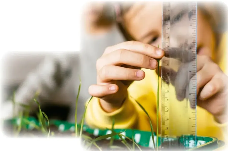 Niña midiendo con una regla el tallo de una planta pequeña que crece en un recipiente verde.