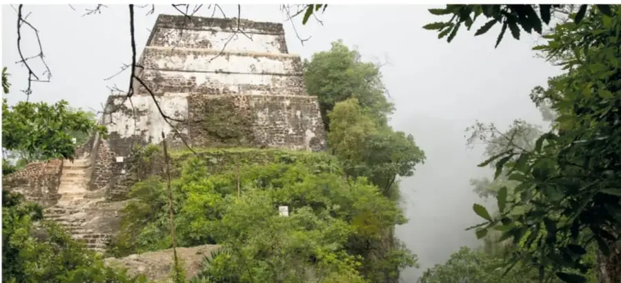 Fotografía de una pirámide escalonada prehispánica en ruinas sobre el Cerro del Tepozteco, rodeada de vegetación y niebla, con escalinatas de piedra visibles.