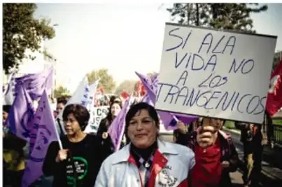Fotografía de una marcha con personas sosteniendo carteles; uno dice 'SÍ A LA VIDA, NO A LOS TRANSGÉNICOS'.
