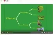 Diagrama circular del ciclo de vida del musgo. Muestra la cápsula con esporas, el gametofito joven, los órganos sexuales anteridio y arquegonio, y el esporófito.