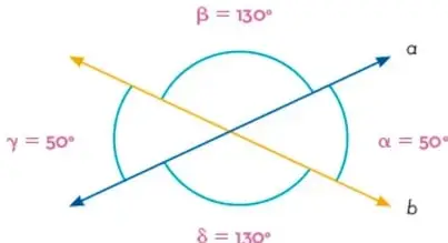 Dos rectas oblicuas $a$ y $b$ que se cruzan formando cuatro ángulos: $\alpha = 50^\circ$, $\beta = 130^\circ$, $\gamma = 50^\circ$, $\delta = 130^\circ$.