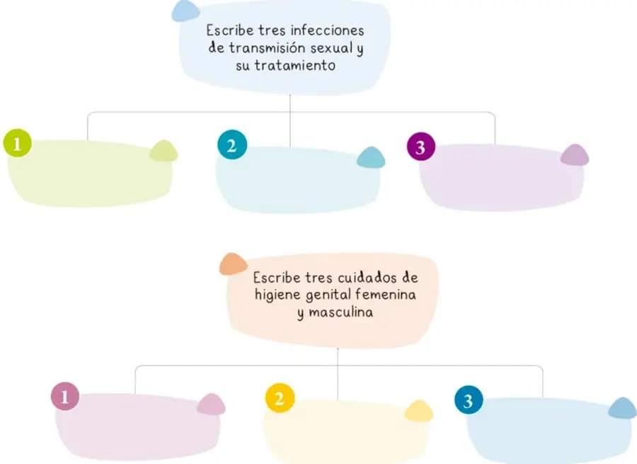 Organizador gráfico con dos llaves: la superior pide tres ITS y su tratamiento; la inferior pide tres cuidados de higiene genital femenina y masculina.