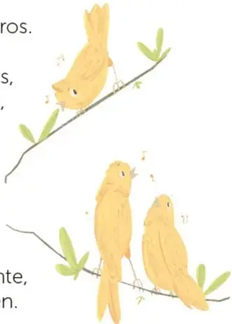 Tres pájaros coloridos (rojo, azul, verde y amarillo, parecidos a los diamantes de Gould) cantan sobre una rama con hojas.