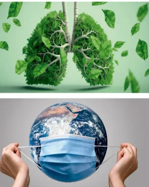 Ilustración de unos pulmones formados por hojas y ramas verdes, metáfora visual de los pulmones como naturaleza.
