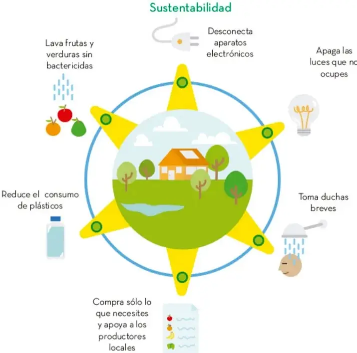 Infografía circular titulada 'Sustentabilidad' con un paisaje natural (casa, árboles, lago y nubes) al centro, rodeado por seis iconos con acciones sustentables: lavar frutas y verduras sin bactericidas, desconectar aparatos electrónicos, apagar luces, tomar duchas breves, comprar sólo lo necesario y apoyar a productores locales, y reducir el consumo de plásticos.