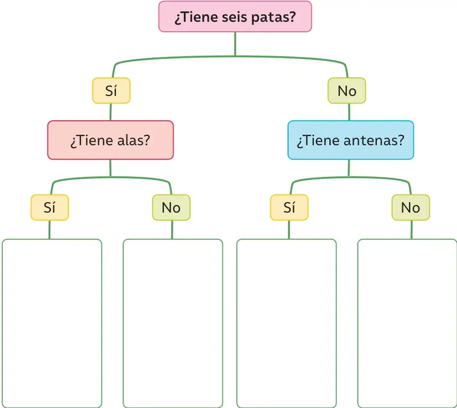 Diagrama de clave dicotómica: el recuadro rosa superior pregunta '¿Tiene seis patas?'; las ramas Sí y No llevan a los recuadros '¿Tiene alas?' y '¿Tiene antenas?' y cada una termina en un recuadro blanco vacío para dibujar.