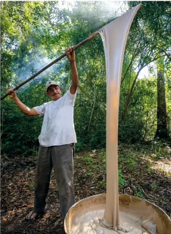 Fotografía circular con marco naranja: corteza del árbol con cortes rojizos por donde brota la resina blanca.