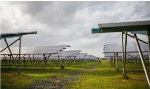 Fotografía de un campo con hileras de paneles solares fotovoltaicos sobre césped, bajo un cielo nublado.