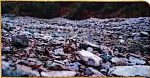 Imagen de un terreno cubierto de piedras, asociado con el suelo pedregoso.