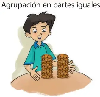 Niño formando dos grupos de galletas sobre la mesa, ilustrando la agrupación en partes iguales.