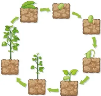 Ilustración de la Tierra con vegetación, sol y nubes, representando el medio natural.