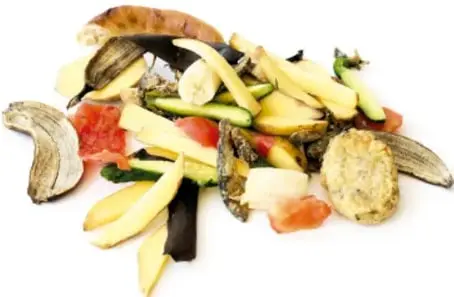 Fotografía de un montón de residuos orgánicos vegetales: cáscaras de plátano, restos de sandía, zanahoria, calabacita, tomate, cebolla y papa.