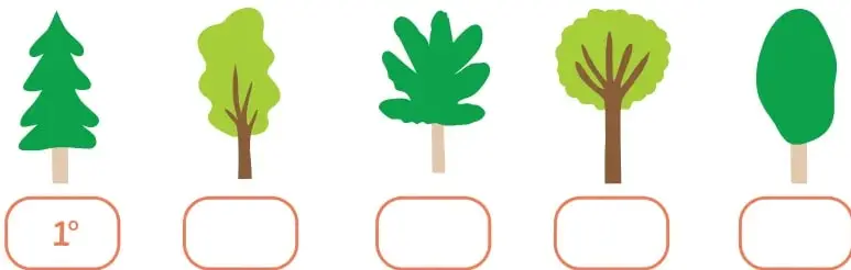 Fila de cinco árboles ilustrados de distinto tipo (pino, árbol de copa clara, árbol de hojas palmeadas, árbol de copa redonda con ramas y árbol de copa ovalada), cada uno con una casilla debajo; la primera casilla dice 1.º.