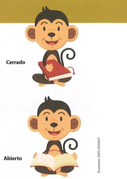 Figura 1 de Lengua Y Literatura 8° · Egb 8 Lengua Y Literatura 2025 · 2025