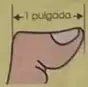 Ilustración de una medición de longitud usando el ancho de un dedo, señalado como una pulgada.