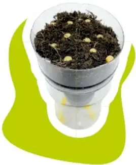 Dos botellas transparentes invertidas con tierra; etiquetas 'Botella 1: Con agua' y 'Botella 2: Sin agua'