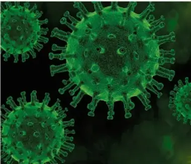 Recreación de virus verdes esféricos con proyecciones (espículas), semejantes a coronavirus.