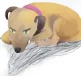 Julián acostado en su cama, tapado con una cobija naranja, con expresión de miedo; a su lado un dinosaurio de peluche verde.