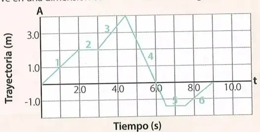 Figura 1 de Ciencias Naturales 8° · Egb 8 Ciencias Naturales 2025 · 2025