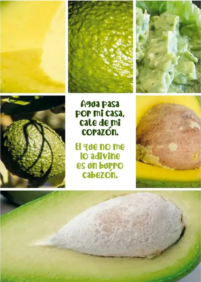 Figura 1 de Múltiples lenguajes. Libro de Educación Primaria Grado 4° Ciclo Escolar 2025 - 2026