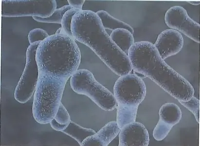 Figura 5 de Ciencias Naturales 8° · Egb 8 Ciencias Naturales 2025 · 2025