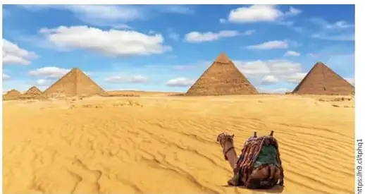 Foto de las Pirámides de Giza con un camello en primer plano.