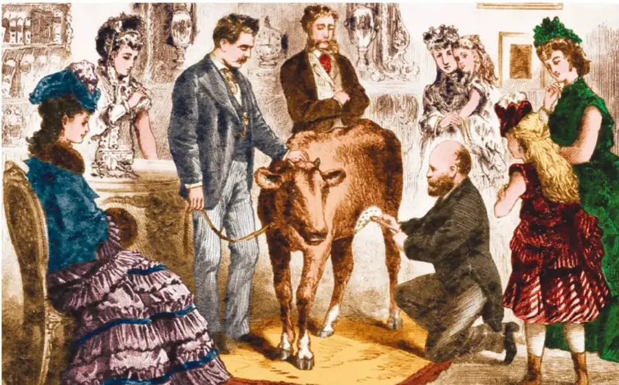 Grabado de época: un médico arrodillado vacuna en el brazo a una niña, frente a una vaca que está dentro de una sala, con damas y caballeros vestidos a la moda del siglo XIX observando la escena.