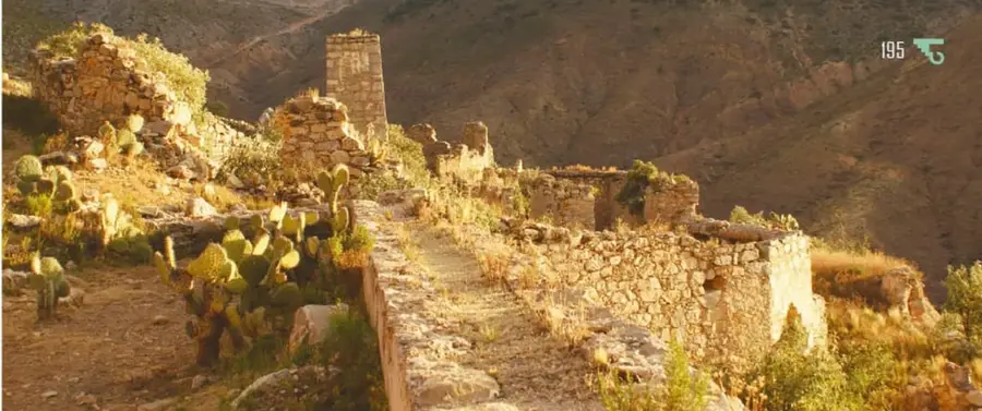 Fotografía panorámica de ruinas antiguas de muros de piedra en un cerro, entre nopales y matorral, con la montaña de fondo al atardecer.