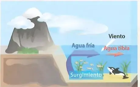 Figura 2 de Estudios Sociales 8° · 2025