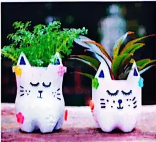 Dos botellas plásticas reutilizadas como macetas con plantas.