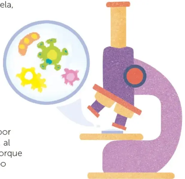 Microscopio morado con detalles naranjas y una lupa circular donde se ven bacterias ilustradas de colores (amarilla, rosa, verde y naranja).