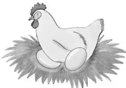 Ilustración de una gallina blanca sentada sobre un nido de paja.