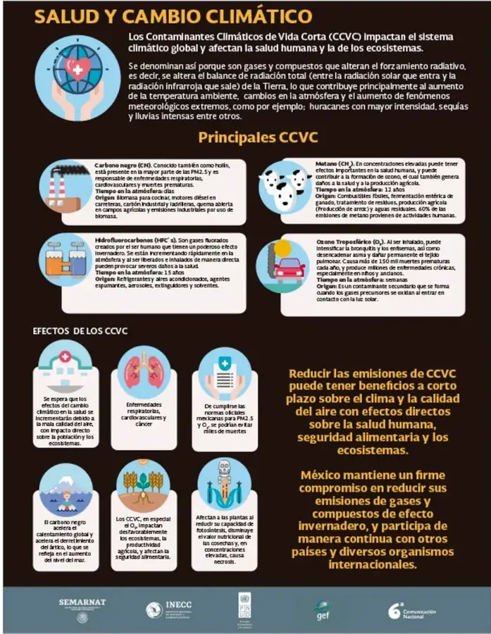 Figura 2 de Nuestros saberes: Libro para alumnos, maestros y familia. Libro de Educación Primaria Grado 4° Ciclo Escolar 2025 - 2026