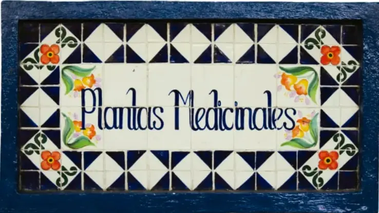 Mosaico de azulejos artesanales con un letrero central que dice "Plantas Medicinales" en letra manuscrita azul, rodeado de un marco con rombos azul y blanco y flores naranjas y rojas en las esquinas.