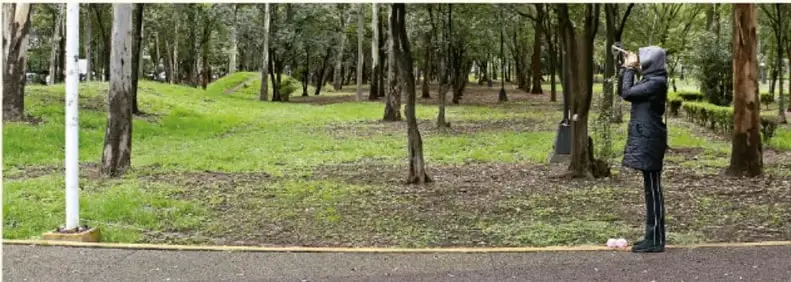 Persona de pie en un parque midiendo un ángulo con un instrumento, junto a un poste blanco.