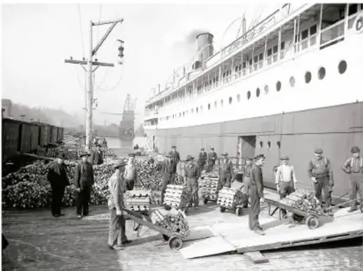 Foto histórica en blanco y negro de obreros cargando cajas con carretillas en un muelle, junto a un gran barco de pasajeros; representa el comercio y la exportación de productos.